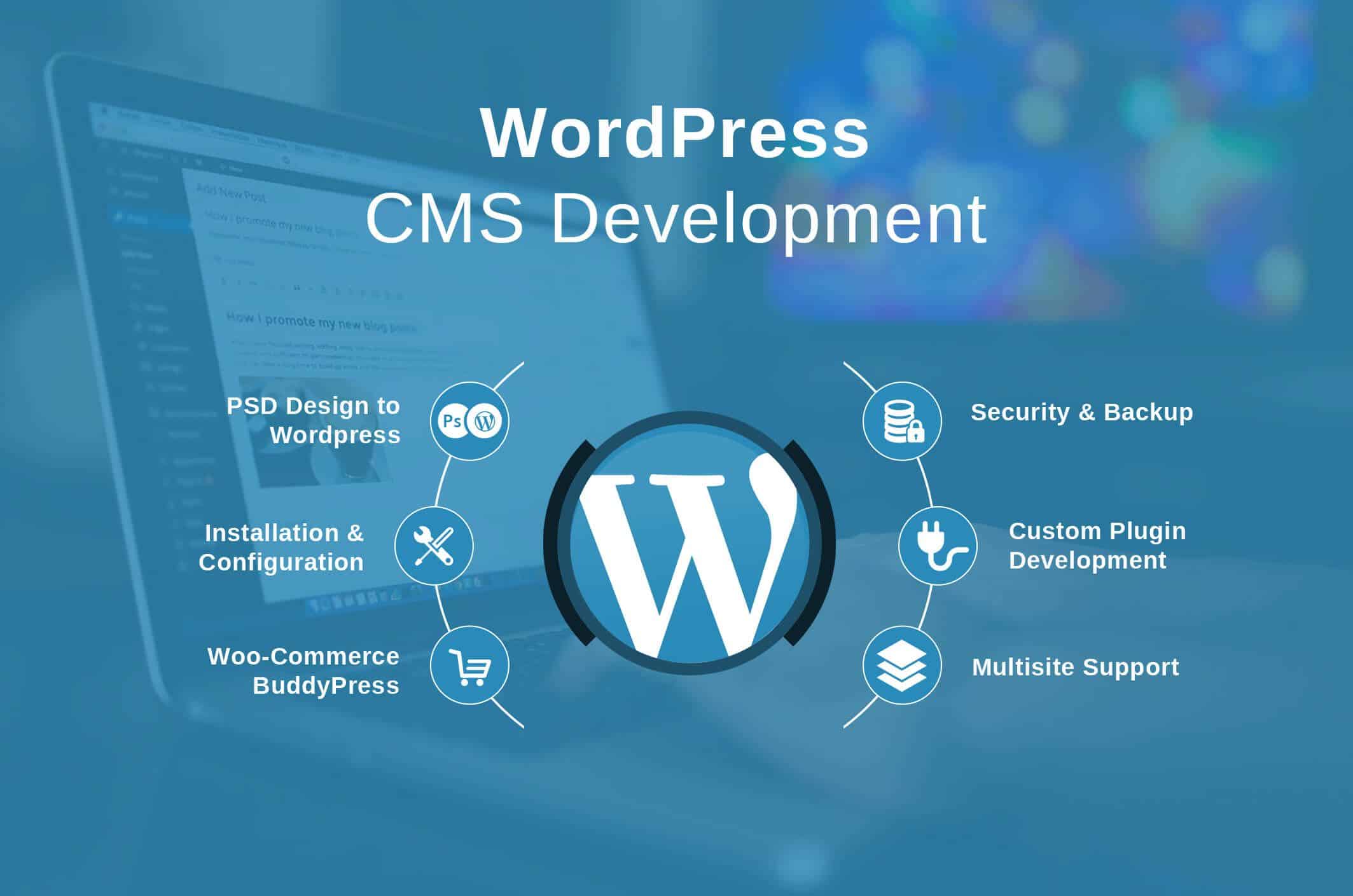 CMS WordPress