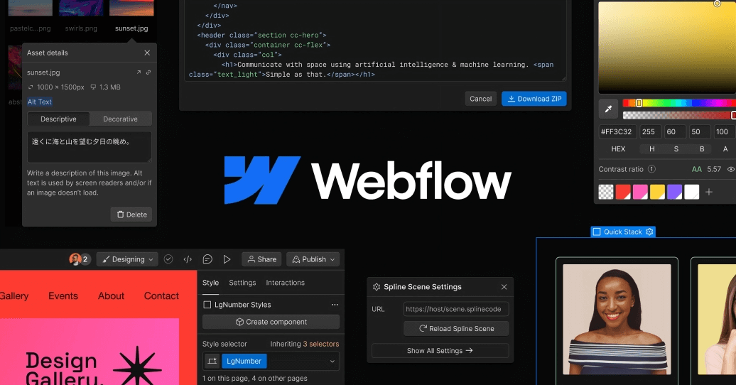 cms_webflow