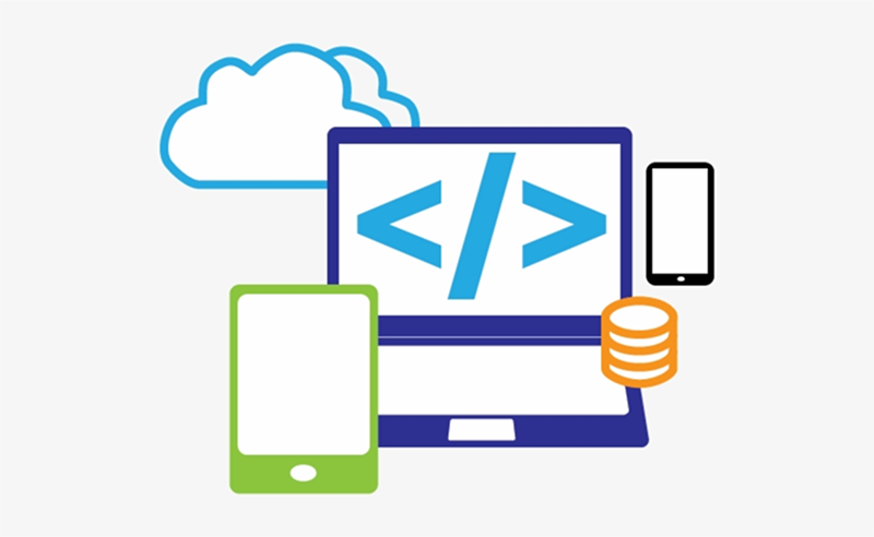 Transforming Business Processes with Custom Software Solutions with Codebyte